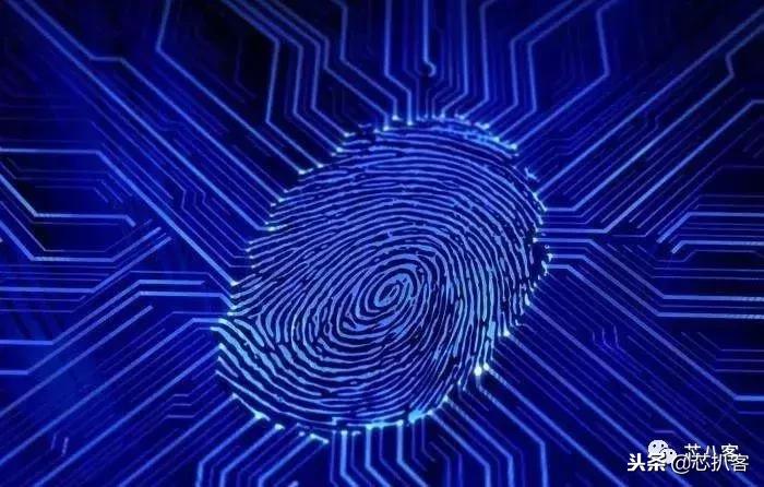 神经网络判断指纹,神经网络指纹识别