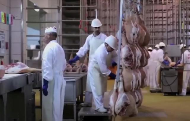 号称世界“最贵”火腿，一根3万每年限量售80根，有钱也很难买到