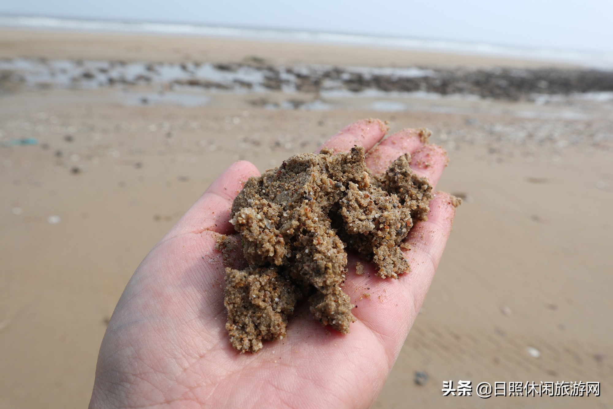 日照最美海滩,山东日照沙滩排行榜
