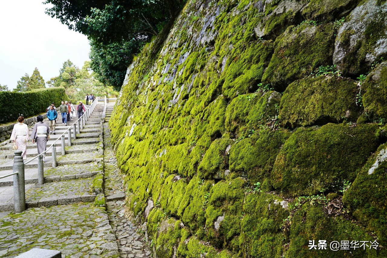 京都一眼千年的美景,京都永恒的美