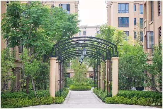 从普罗旺斯看紫色花海,从普罗旺斯到柳沙公园怎么走