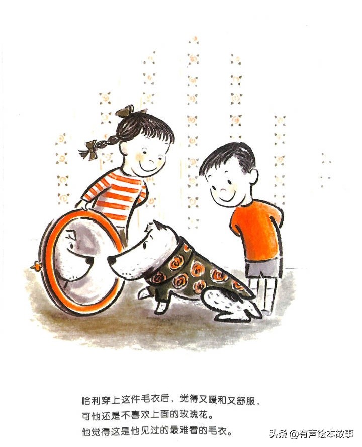 儿童故事哈利的花毛衣,哈利不可以有声绘本故事