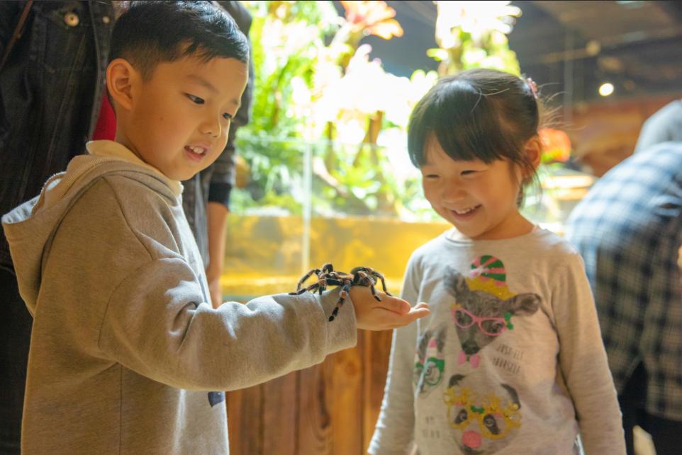 bobozoo室内动物园,bobozoo室内动物园有河马吗