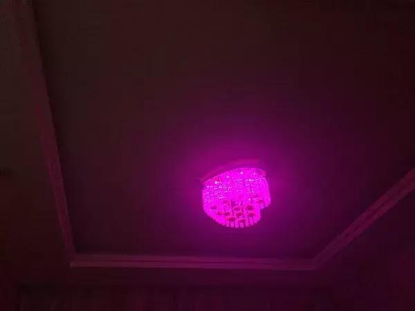 爸妈的审美装修效果图,爸妈的房子装修