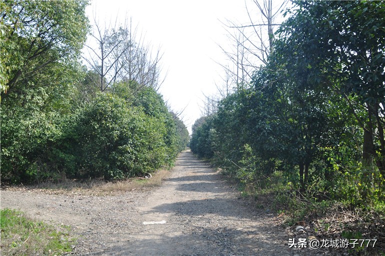 重游天一度假村,重游旧地去哪玩