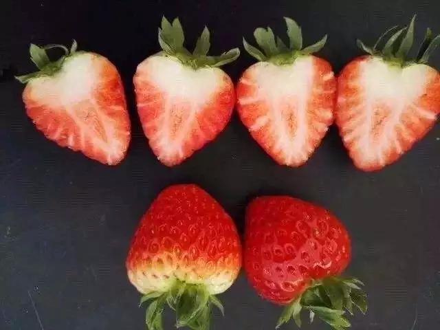 乐乐茶草莓系列,奈雪的茶草莓饮品怎么做