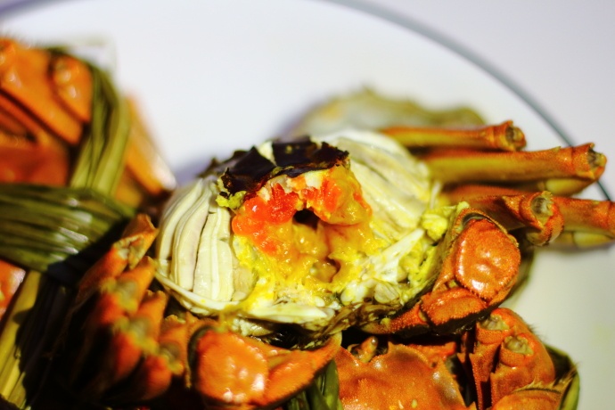 螃蟹什么季节好吃有肉,这个季节吃什么螃蟹能吃到新鲜的