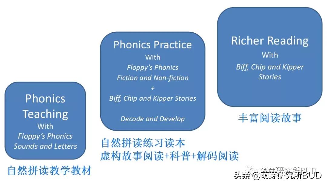 课改后自然拼读重要性,自然拼读重要性的图片