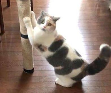 有些年轻人阅片无数，却不敢当着爸妈的面看吻戏