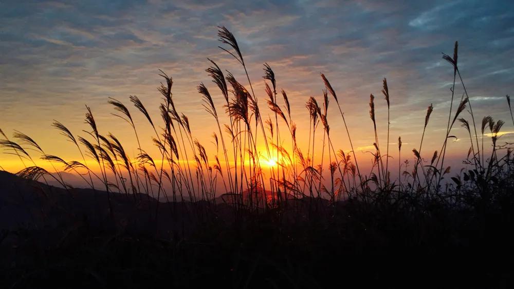 银杏古道自驾游攻略,江浙沪绝美古道苏州