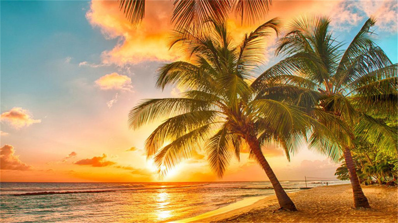 云淡风轻听琴语,静思禅慧洗俗尘