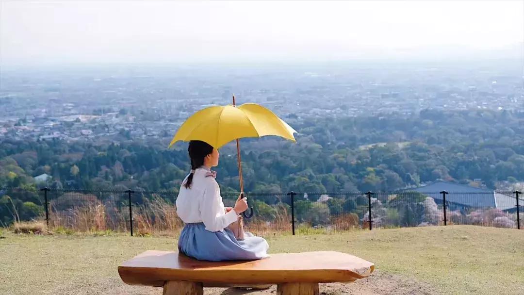 上海夫妻打工20年买了一套房子,80后小夫妻300万买下日本一栋楼