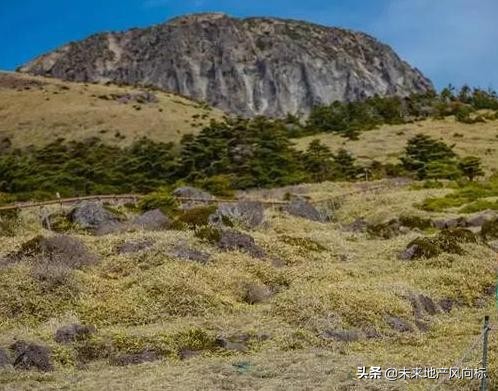 中房社带你去看真实的济州岛，和你的预期可能不太一样