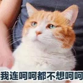 灌肤真的那么好的效果吗,盲目灌肤效果怎么样