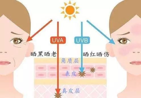 深海四十噚褐藻面霜怎么用,unichi深海四十噚面霜测评