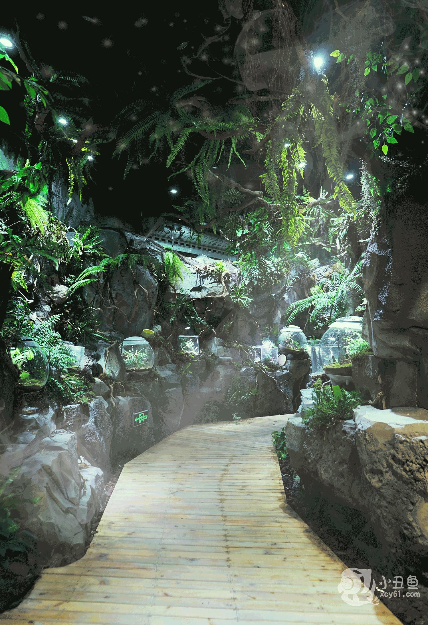 儿童玩的遛娃好去处,有动物的溜娃好去处