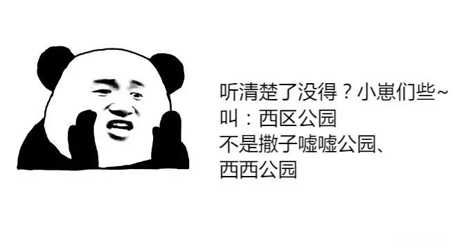 记忆中的重庆全景,重庆记忆綦江