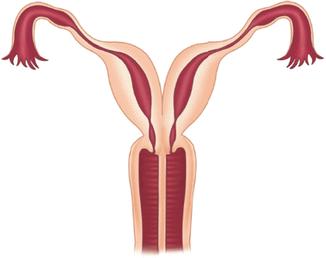 18岁女孩每隔十天又流血,18岁女孩一个月月经来二次