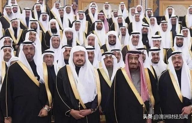 沙特对埃及石油的看法,沙特对红海危机的态度