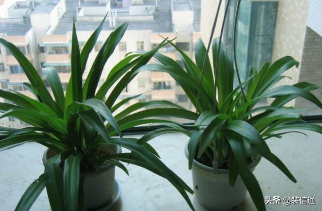 旧房入住前注意什么,新房入住注意事项大全视频