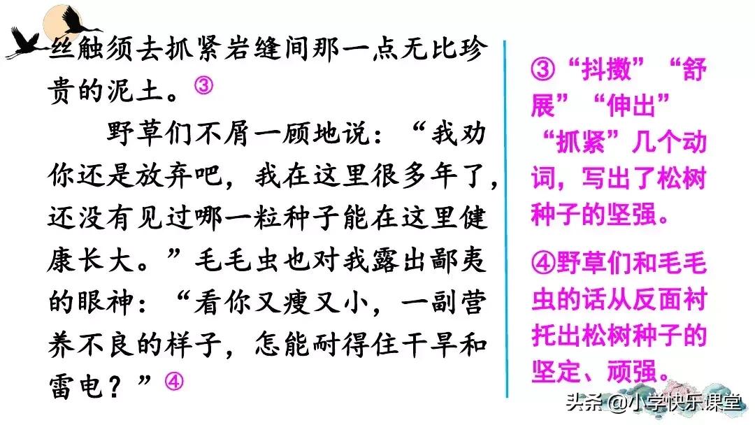 部编版六年级作文变形记范文,部编版六年级上册作文变形记教案