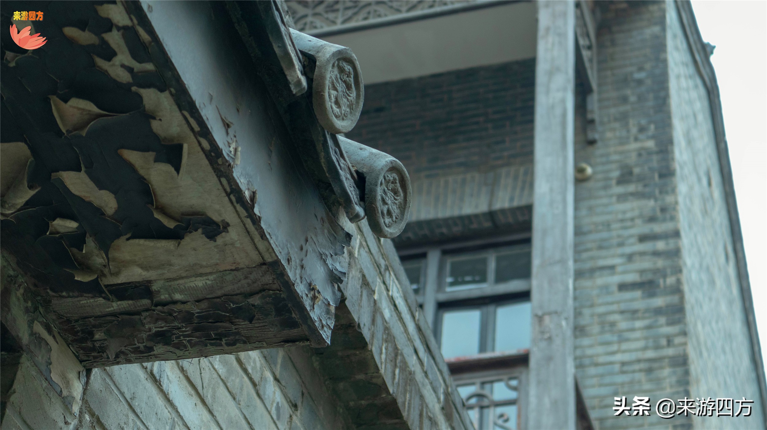 济南老商埠中山公园,济南秋风扫落叶