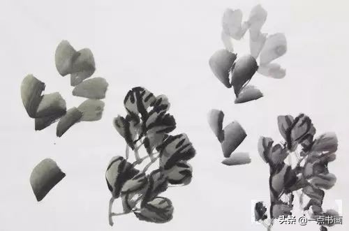 写意牡丹的画法示范教程,王绣写意牡丹画法零基础视频