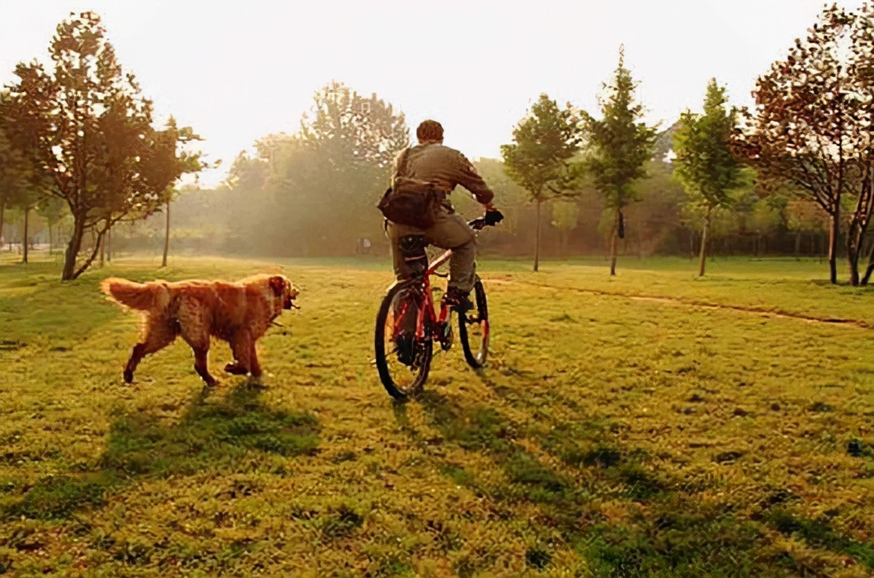 为什么老人家得痛风越来越频繁了,痛风患者如何注意预防痛风复发