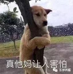 嫌弃老婆身材不好的人怎么办,嫌弃老婆身材不好怎么办