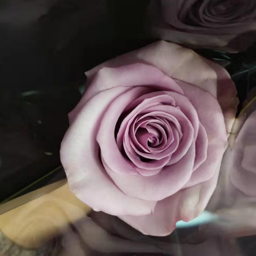 金赣生日会|在奋斗时光里,温暖前行