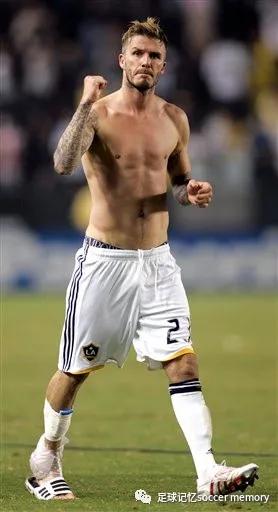 碧咸圆月弯刀,圆月弯刀蓝白玫瑰