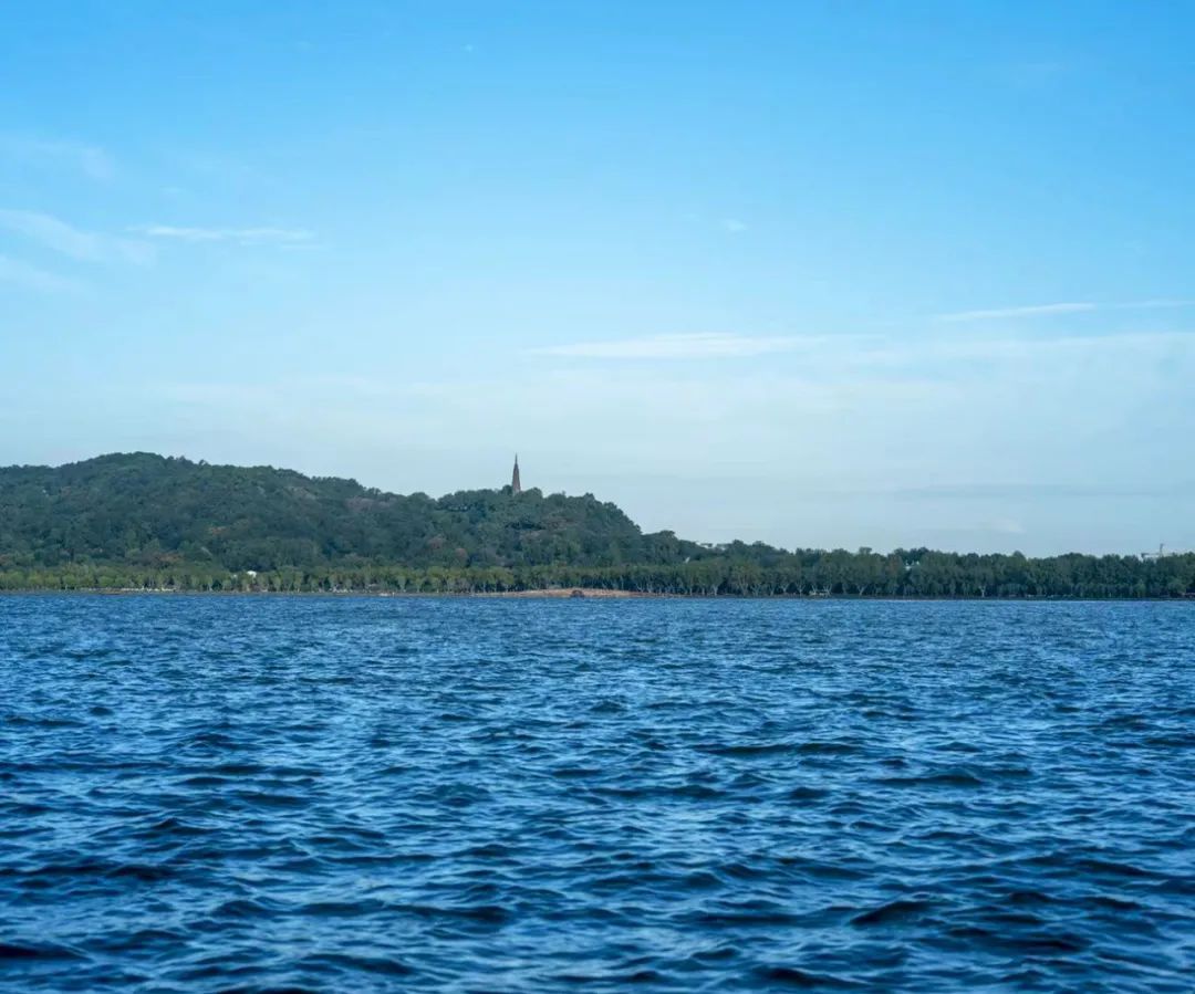 杭州的秋天随处可见都是美景,杭州西溪湿地美成调色盘