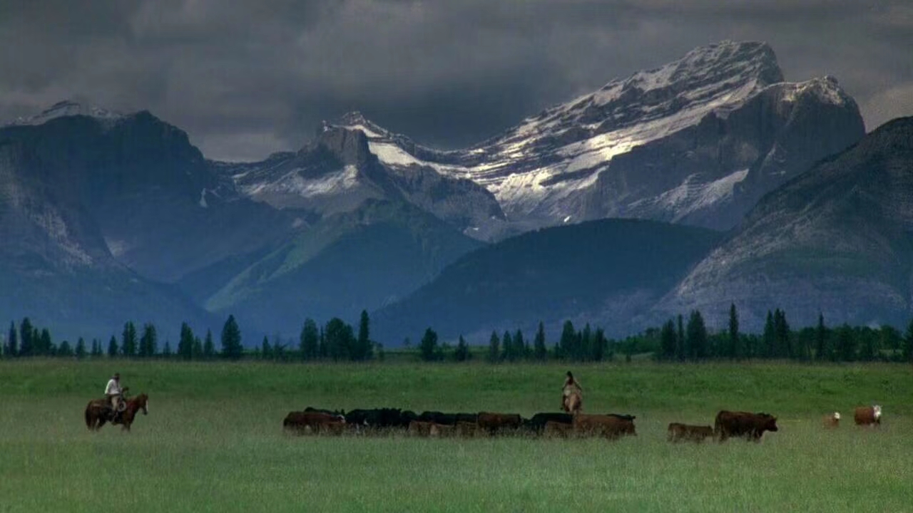 燃情岁月和激情燃烧的岁月,燃情岁月止戈