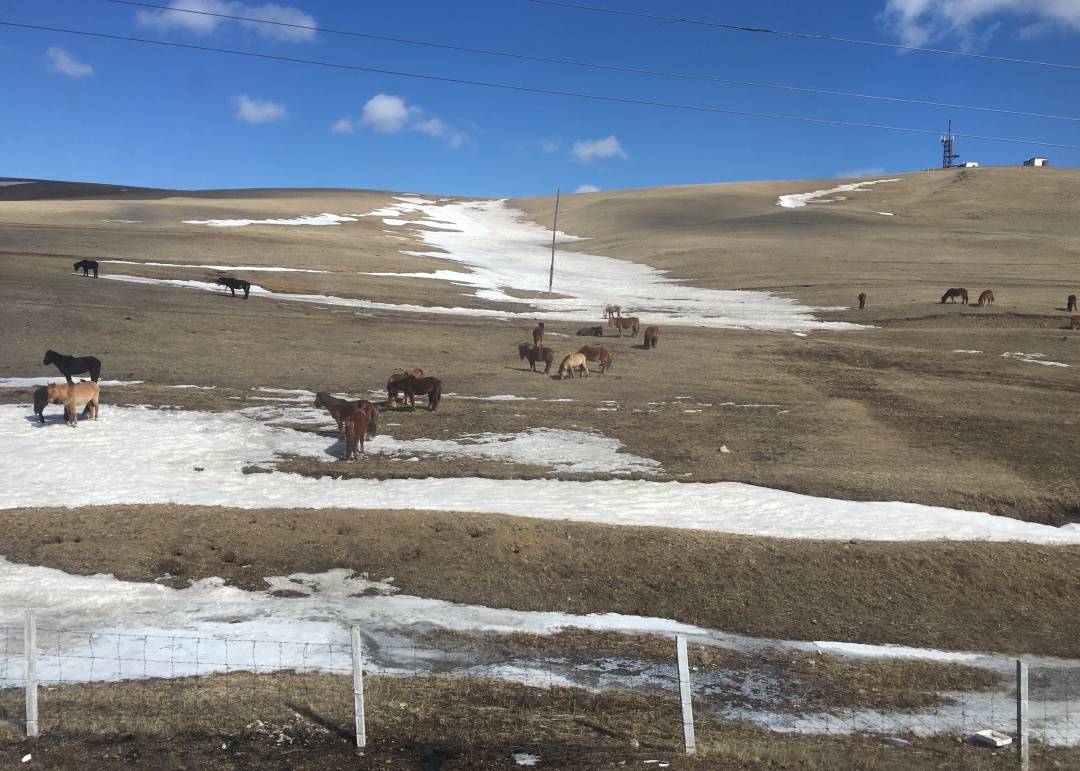 乌兰巴托草原寂静的夜,蒙古乌兰巴托的夜