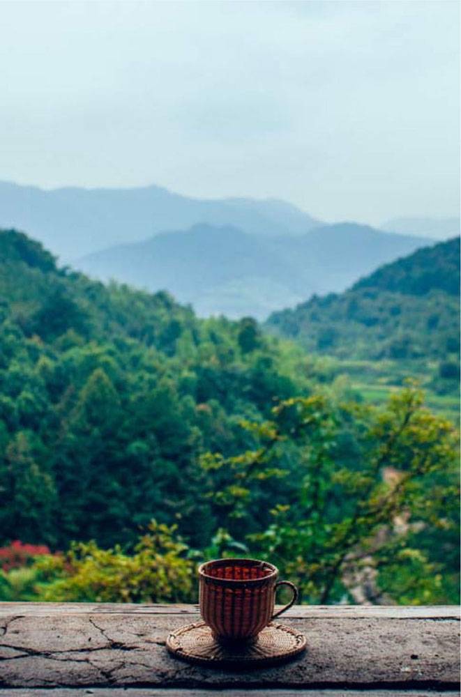 手把手教您买茶不入坑的诀窍,不买茶的人教你一招