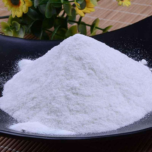 母狗闹狗的症状有哪些,狗闹狗有什么表现