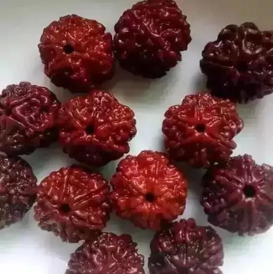 手串有白色小虫子,手串长虫子是什么原理