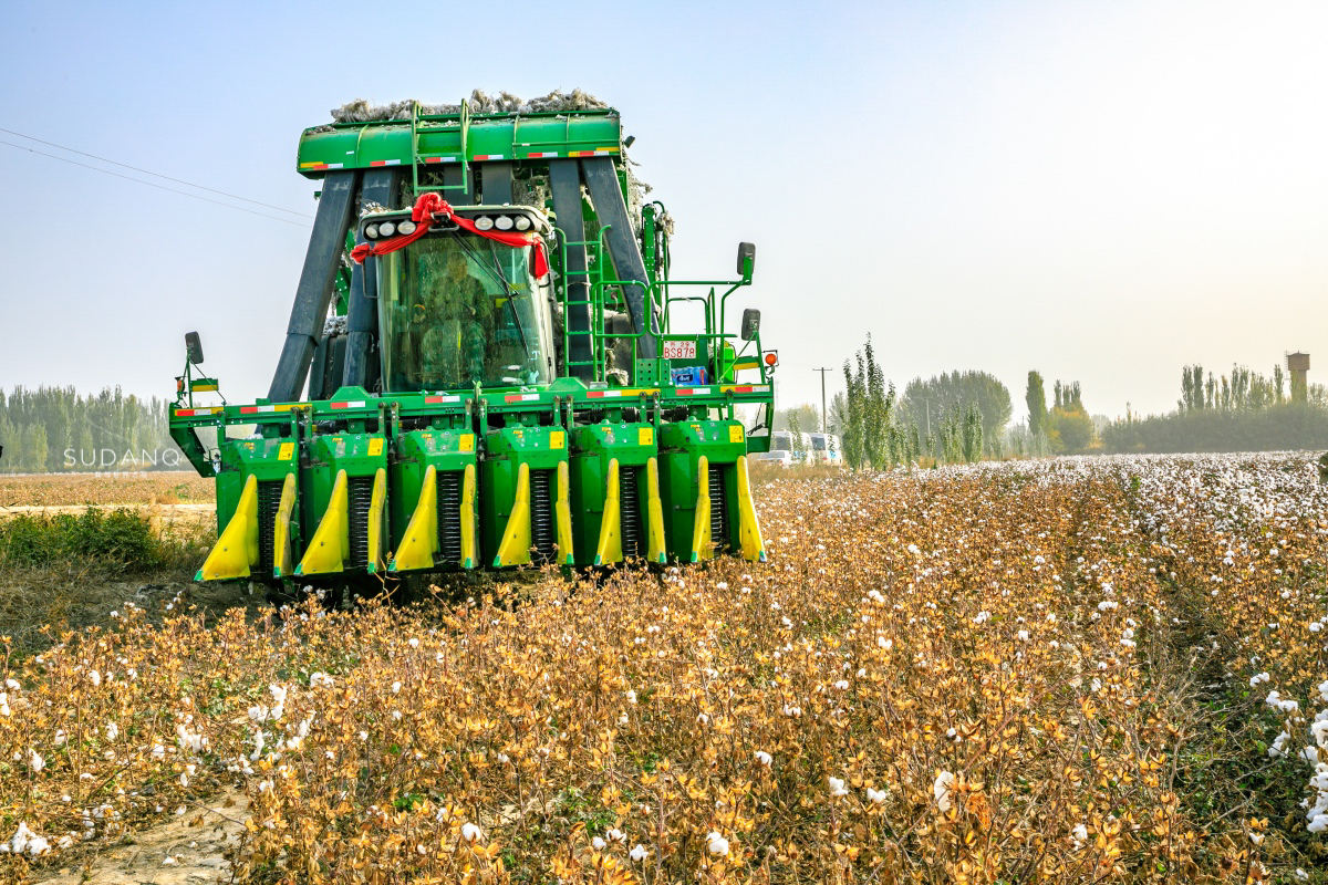 疆内哪里好玩风景好,疆内好玩的地方推荐