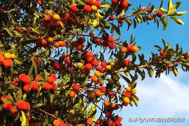 为了钓鱼在水库修一座别墅,最惊艳的民宿设计图