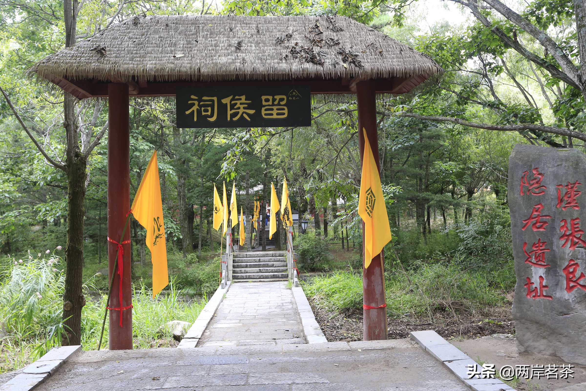 再看白云山，看山不是山，它是一本百读不厌的百科全书