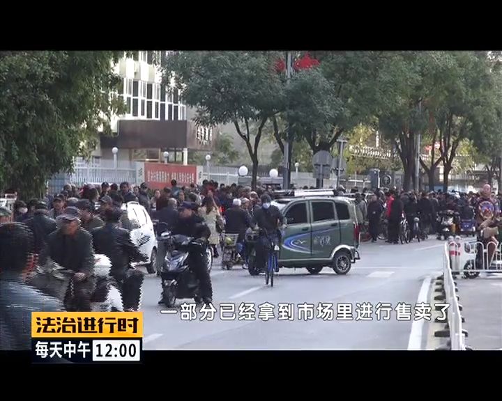 严厉打击非法捕猎候鸟,内蒙大兴安岭非法捕猎候鸟