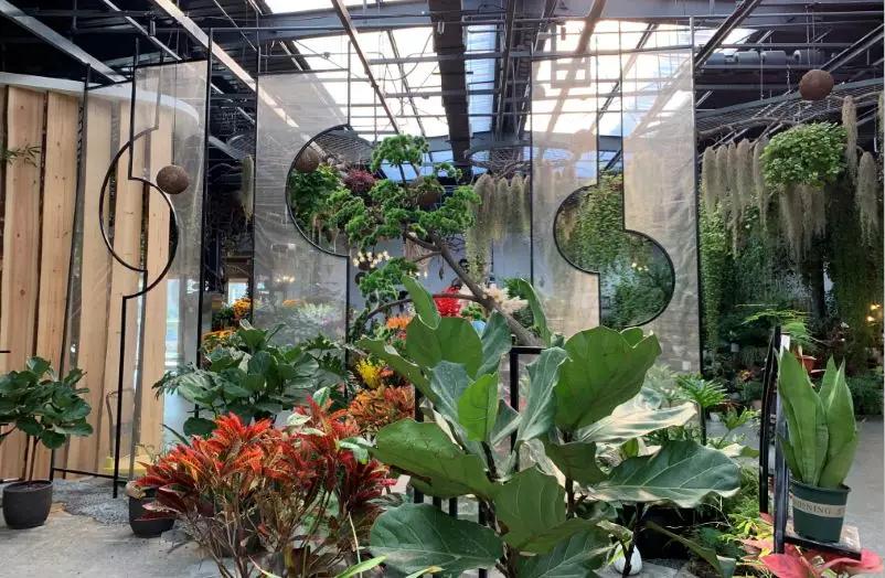 小编整理！丰台四大花市逛买攻略！春节就要这喜庆劲儿