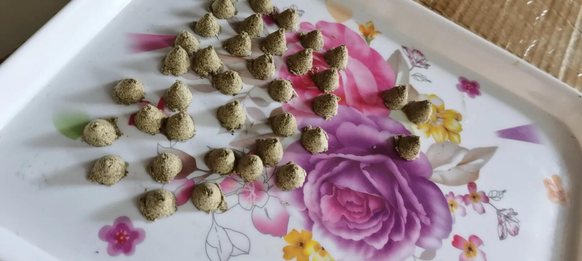 伏天艾灸哪里补虚,师说体质养生