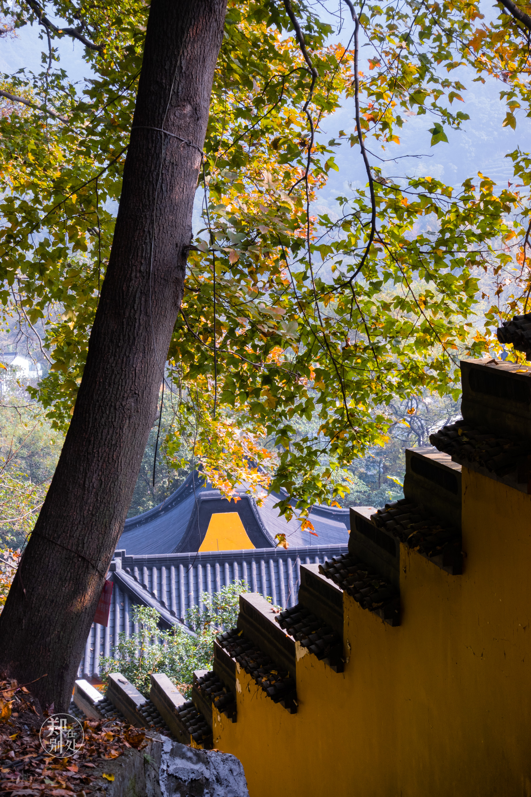 杭州登山徒步经典路线图最新,杭州登山路线