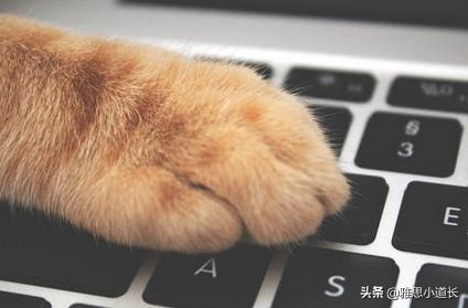 苹果电脑空格键英文叫什么,苹果笔记本键盘英文键是什么意思