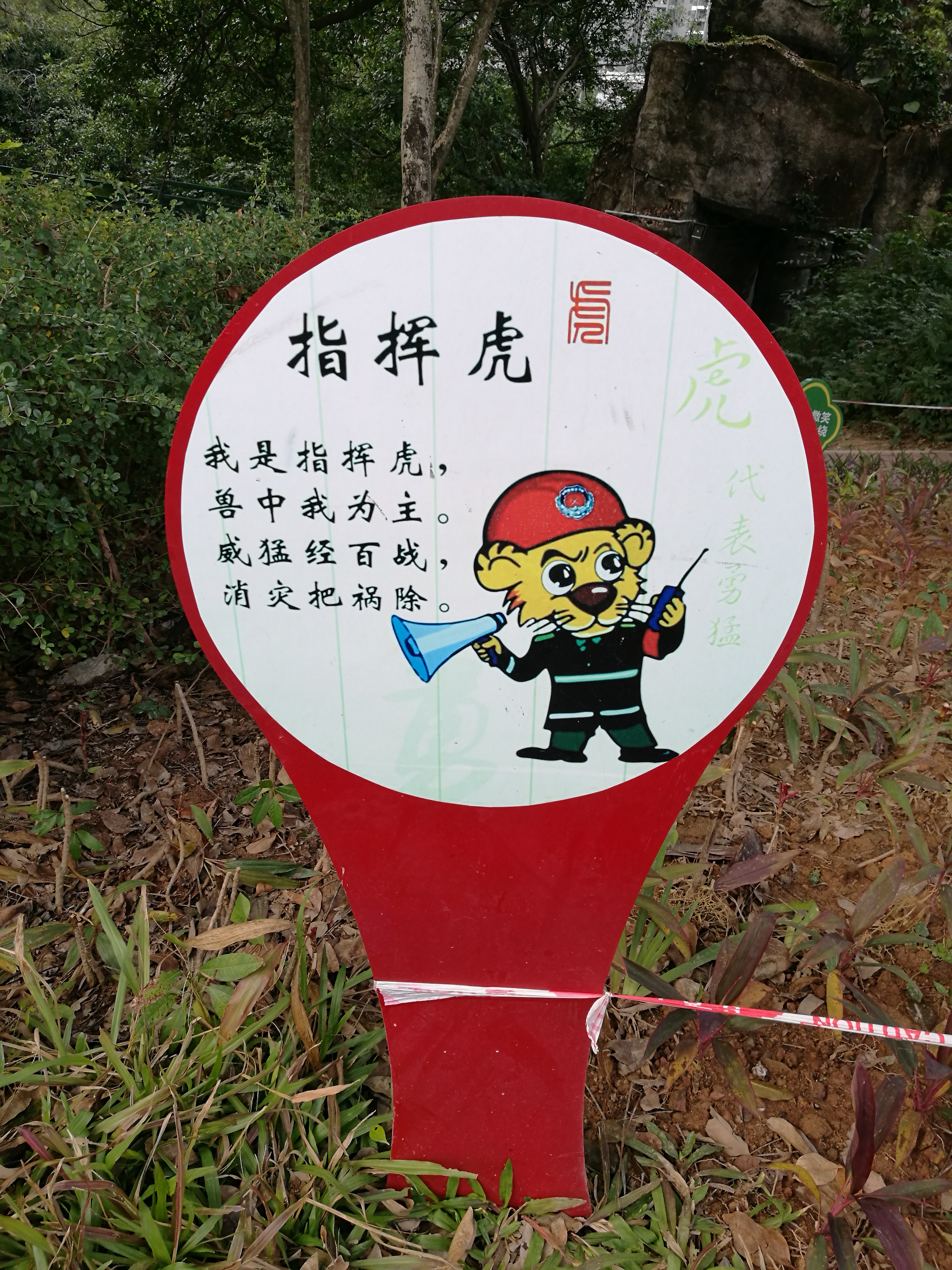 平安夜偶遇第一场雪,平安夜偶遇生日