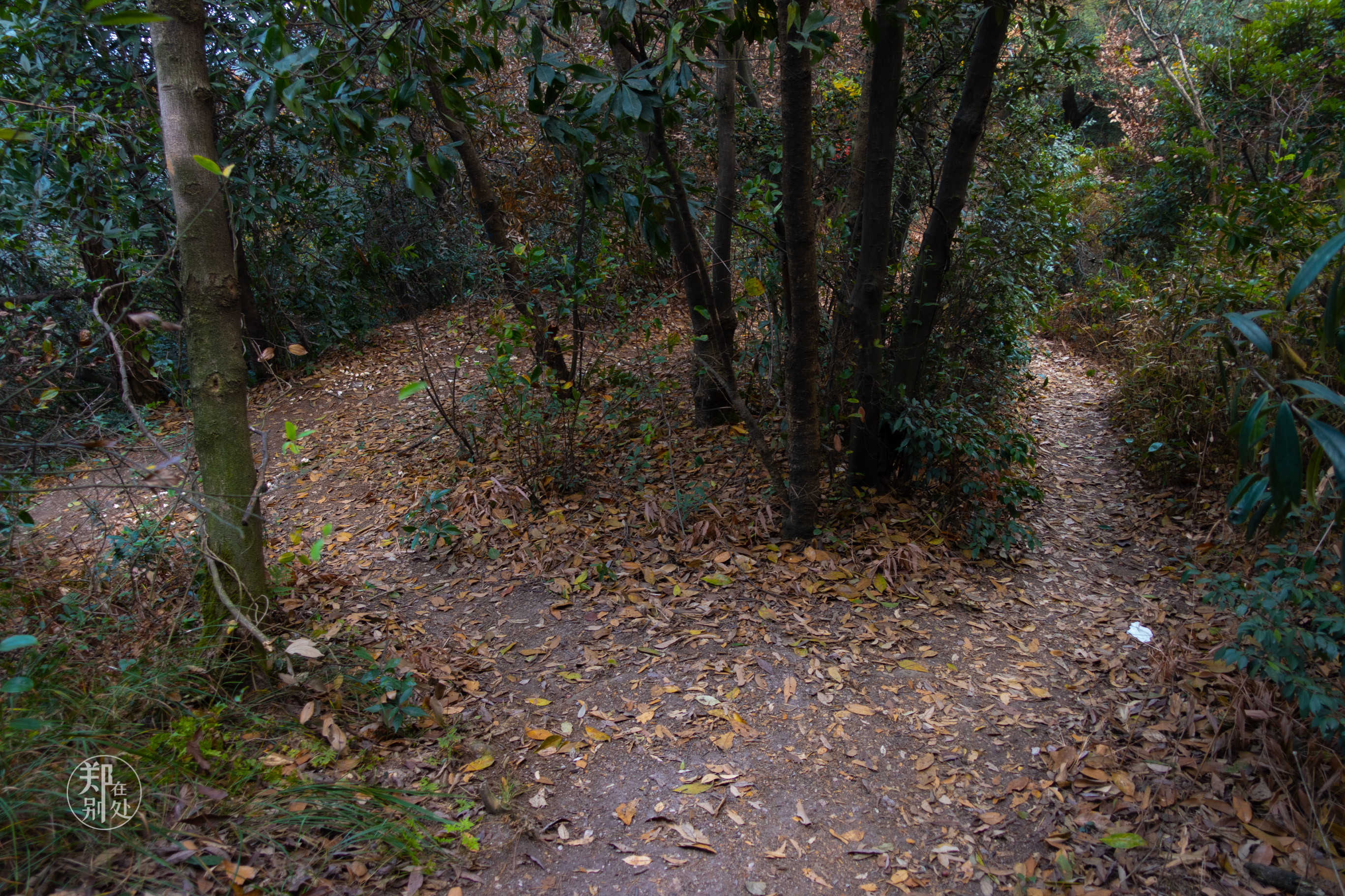 杭州登山徒步经典路线图最新,杭州登山路线