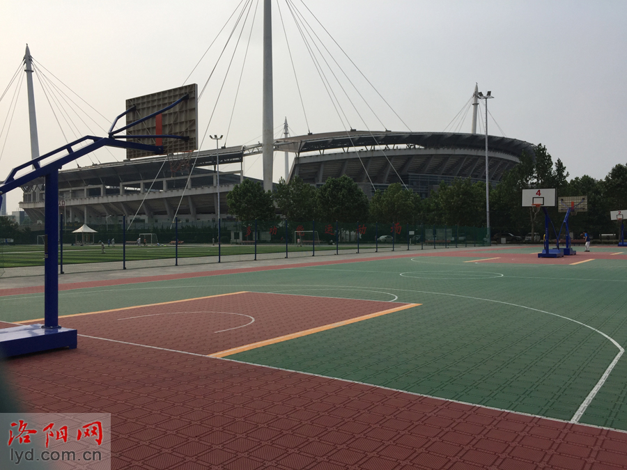 洛阳免费球场官网,洛阳王城球场