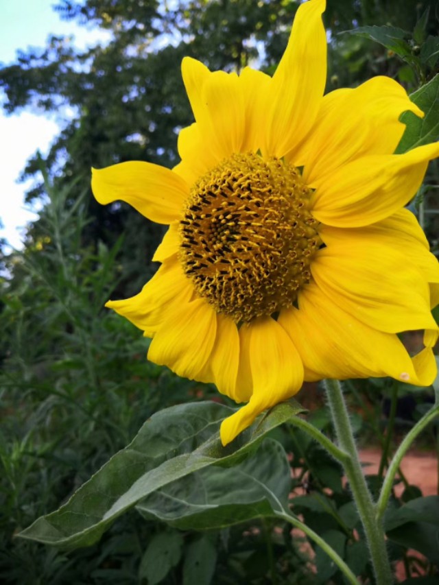 工资不涨物价房价一直涨会怎么样,伯恩厂上班平均一个月拿多少钱