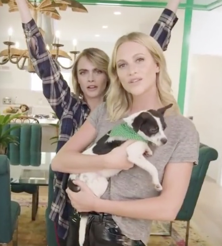 甜!英国贵族超模爱上美国女演员,机场热吻,狂撒狗粮